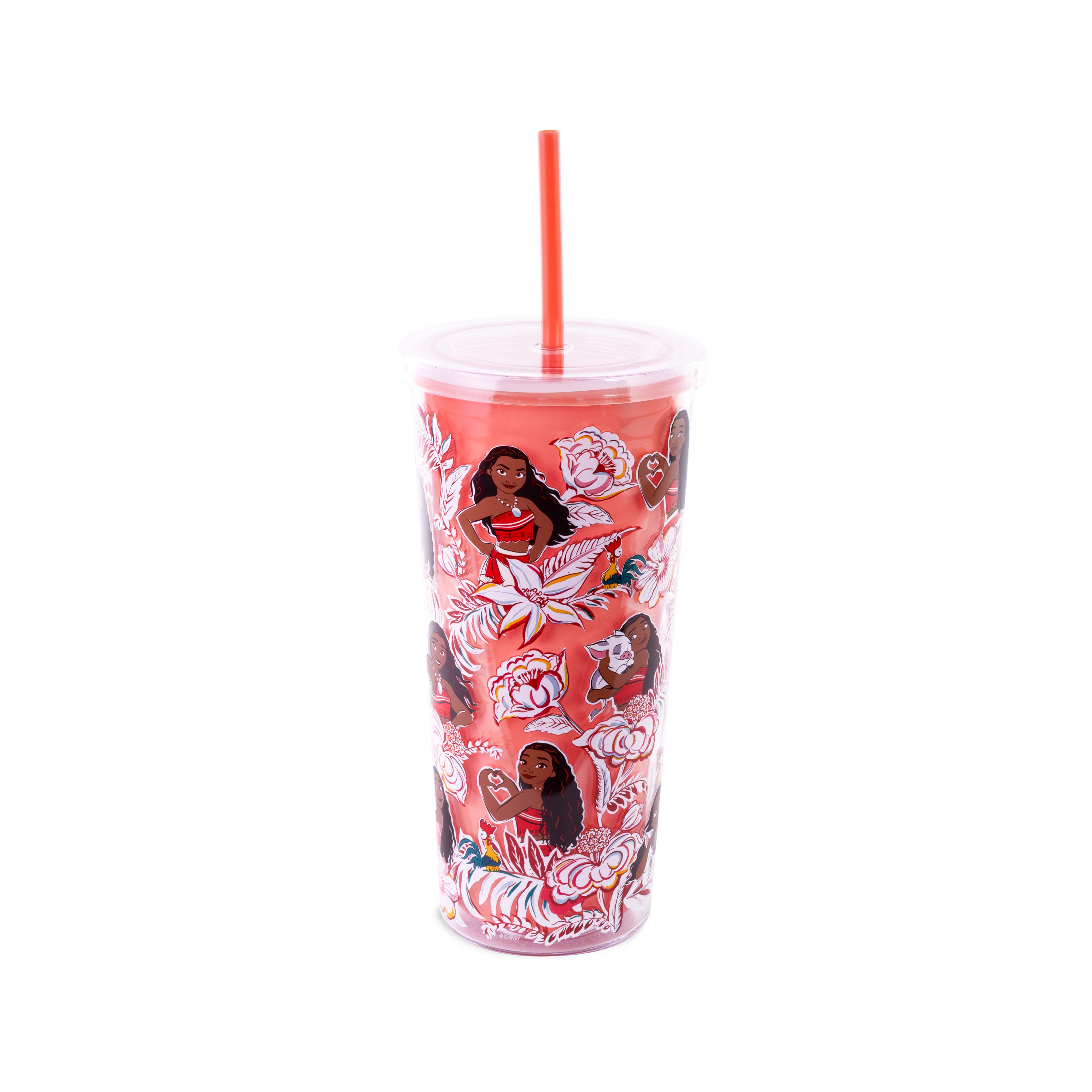 Disney Double Wall Tumbler with Straw