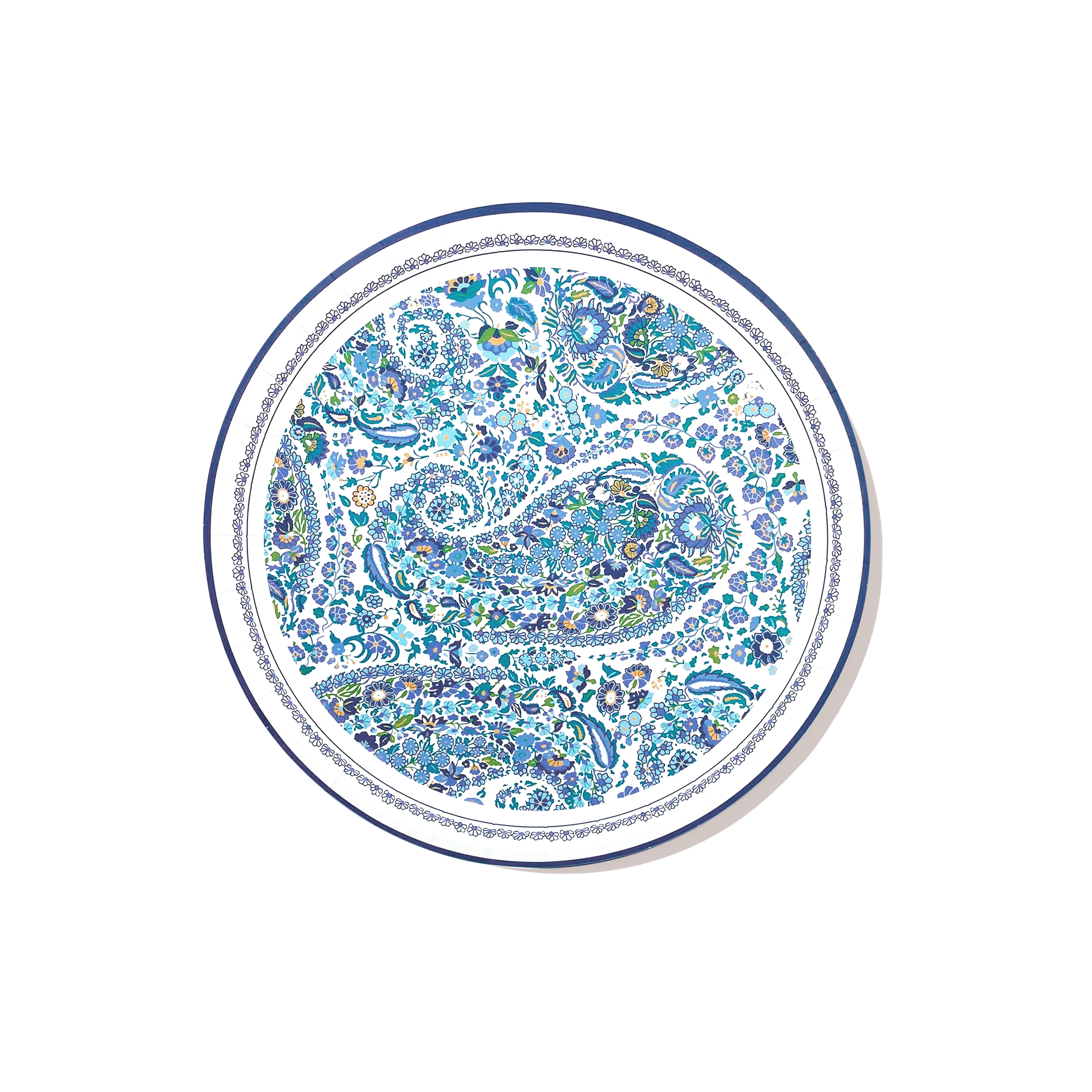 Large Paper Plates - Set of 10