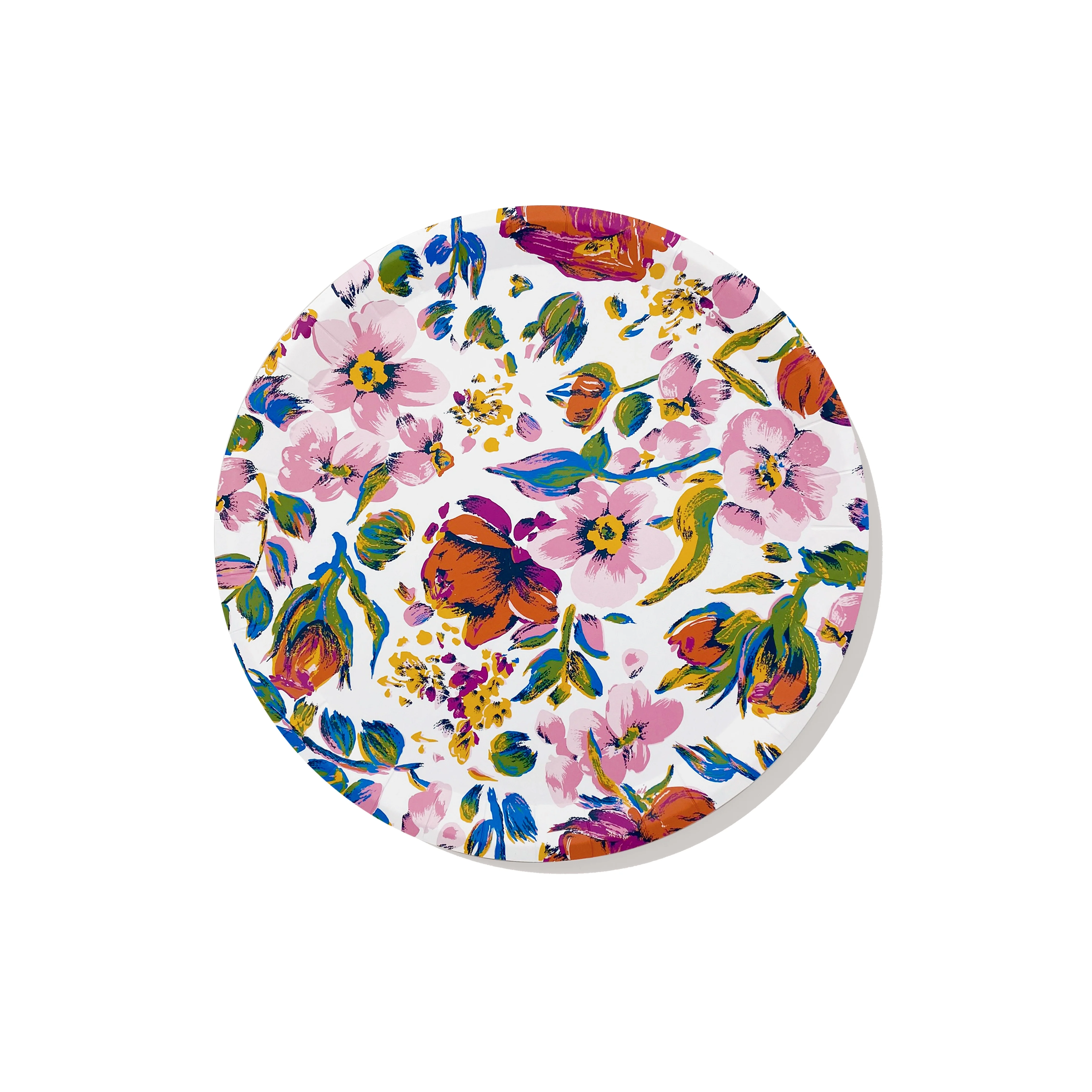 Large Paper Plates - Set of 10