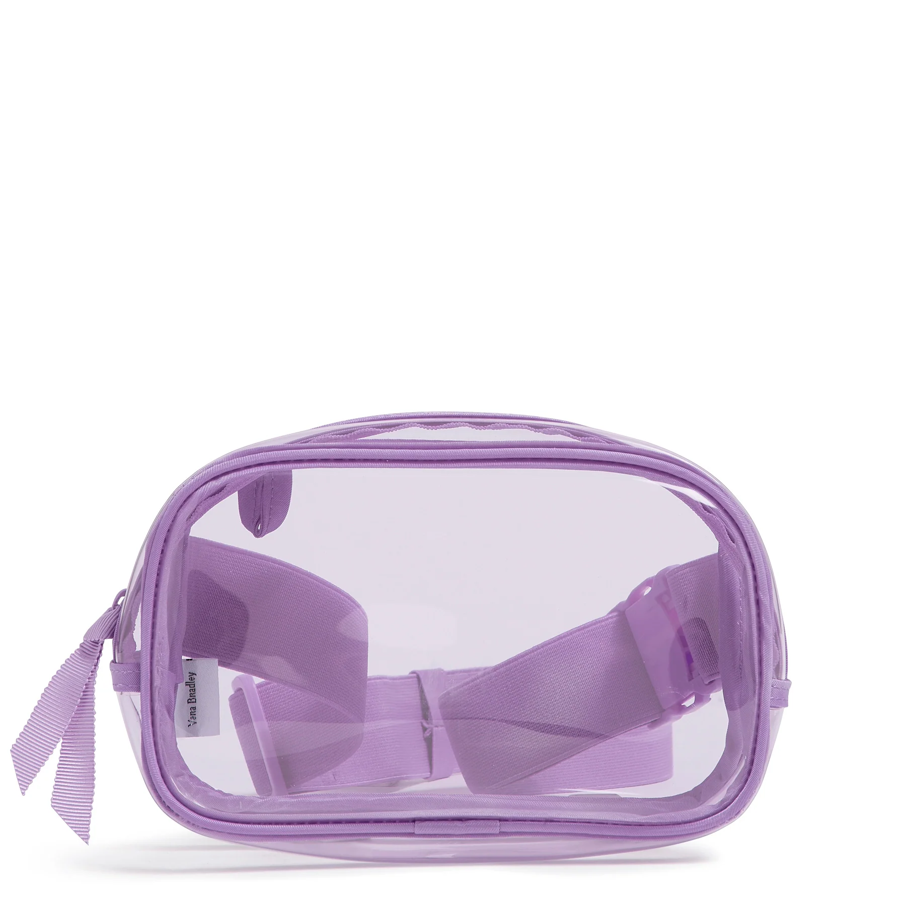 Clear Small Belt Bag